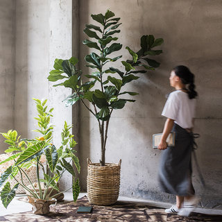 掬涵仿真琴叶榕仿生植物落地假绿植室内假树摆件装饰大型大树盆景