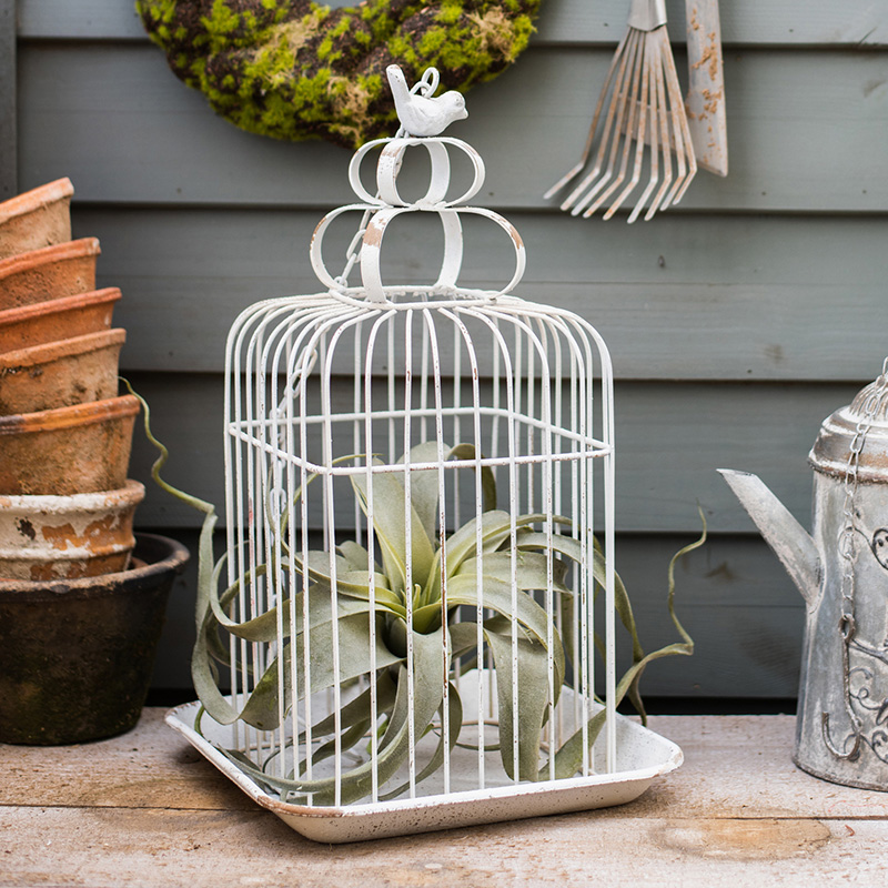 掬涵铁艺垂吊鸟笼子花篮花盆花器装饰壁挂摆件设复古乡村花园庭