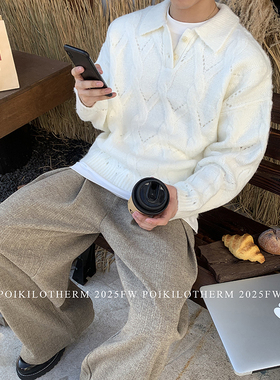 PLTH*韩版翻领麻花编织POLO毛衣男秋冬宽松设计感纯色羊毛针织衫