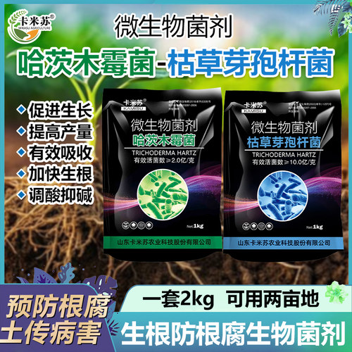 枯草芽孢杆菌农用微生物菌剂肥防根腐叶面肥水溶肥防病害肥料正品