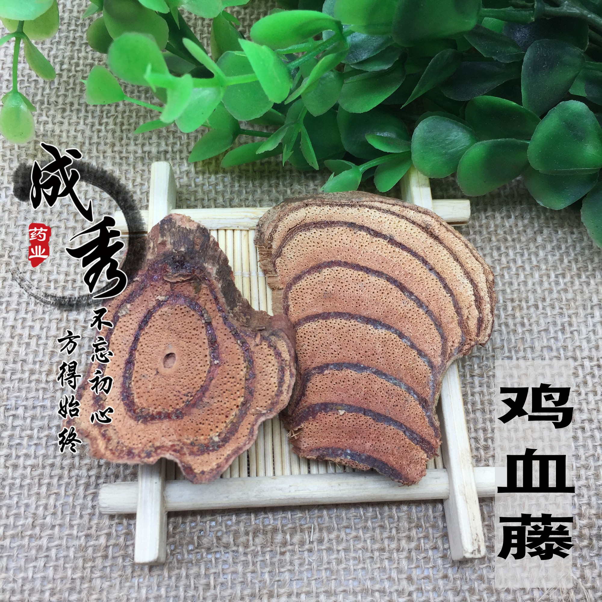 野生大血藤中药材