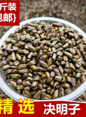 中药材生决明子新货野生