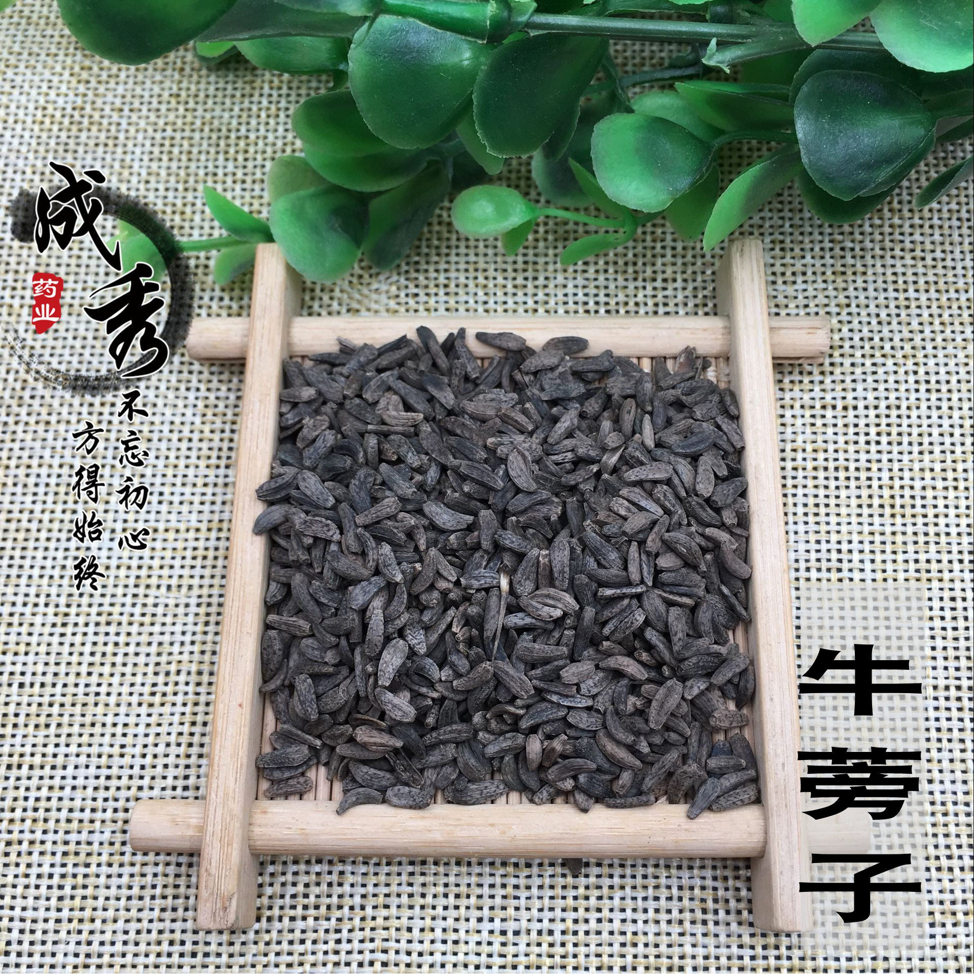 中药材牛蒡子包邮大力子 牛蒡籽 大力籽 牛蒡子500克