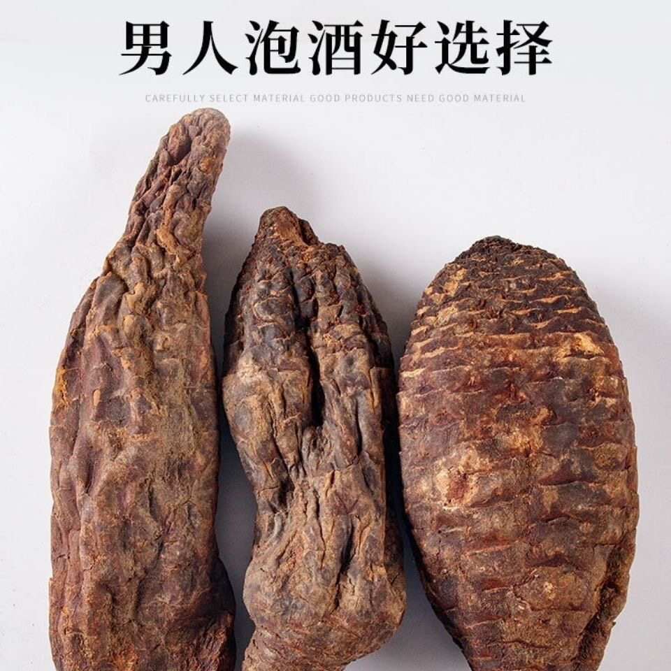 新疆肉苁蓉整个正宗肉苁蓉整根切片肉丛容煲汤泡酒泡水大芸中药材