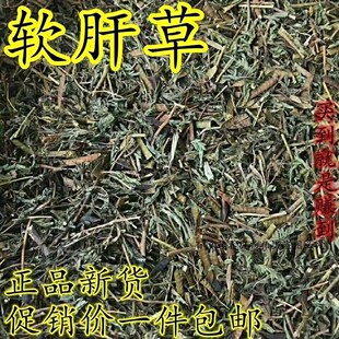 软肝草软肝草野生铁甲食用扁白传统煲汤泡水益肝草铁甲草软肝草