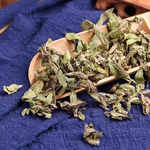 中药材 柳芽 柳树芽 柳芽 嫩柳芽 柳芽茶新货500克
