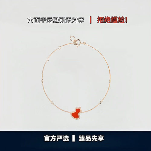 【出入专柜无压力】高版本！