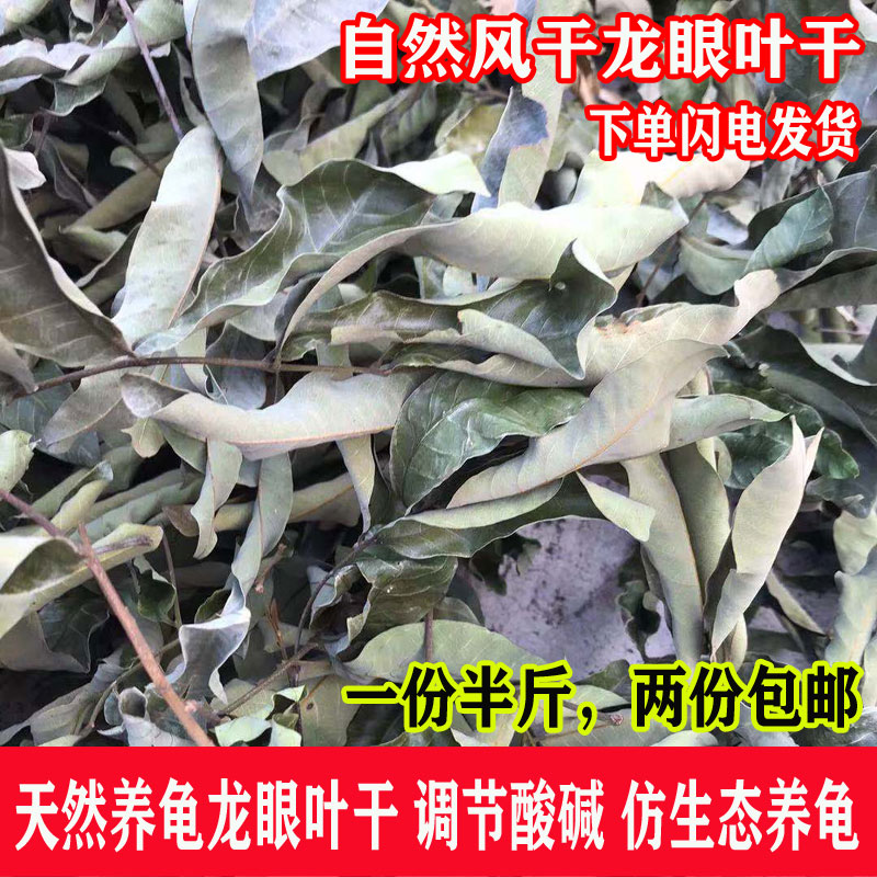 龙眼叶干龟缸泡水养鱼调节酸碱度图片