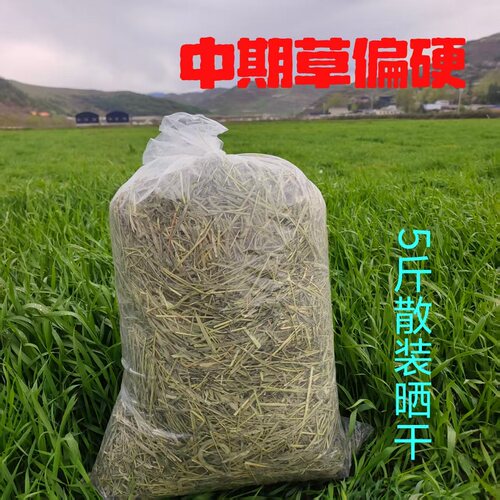 晒干提摩西草磨牙兔子宠物零食