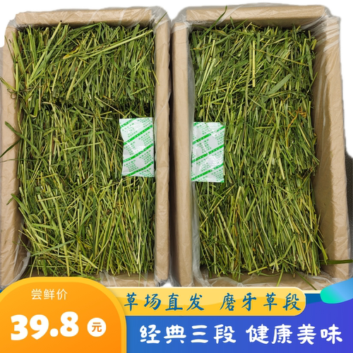 牧草莜草源提摩西草荷兰猪兔兔