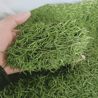 2025芽毛尖保康茗茶绿茶松针春茶