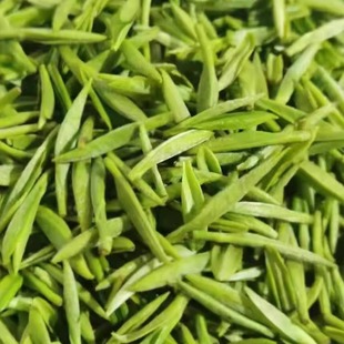 2025芽毛尖保康春茶明前绿茶南漳炒青茶叶谷城茗茶高山茶500g