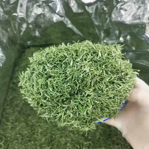 2026保康新茶芽茶芽毛尖茶叶小芽