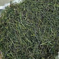 2025新茶保康茗茶绿茶春茶襄阳高香茶浓香耐泡炒青恩施玉露类500g
