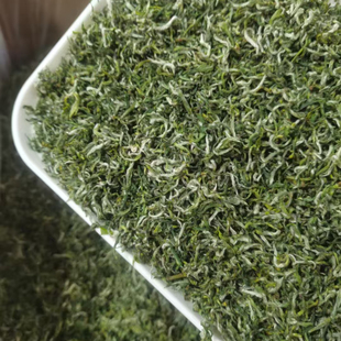 2026新茶保康茗茶芽毛尖春茶五峰毛尖绿茶250g茶叶高山云雾
