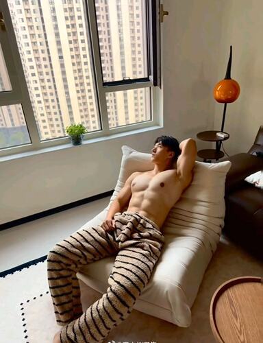 2026新款男士内裤纯棉抗菌裆透气舒适运动平角裤衩男款四角短裤头