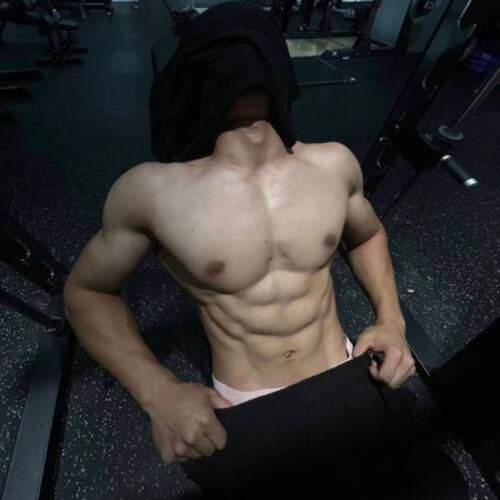 2026新款男士内裤纯棉抗菌裆透气舒适运动平角裤衩男款四角短裤头
