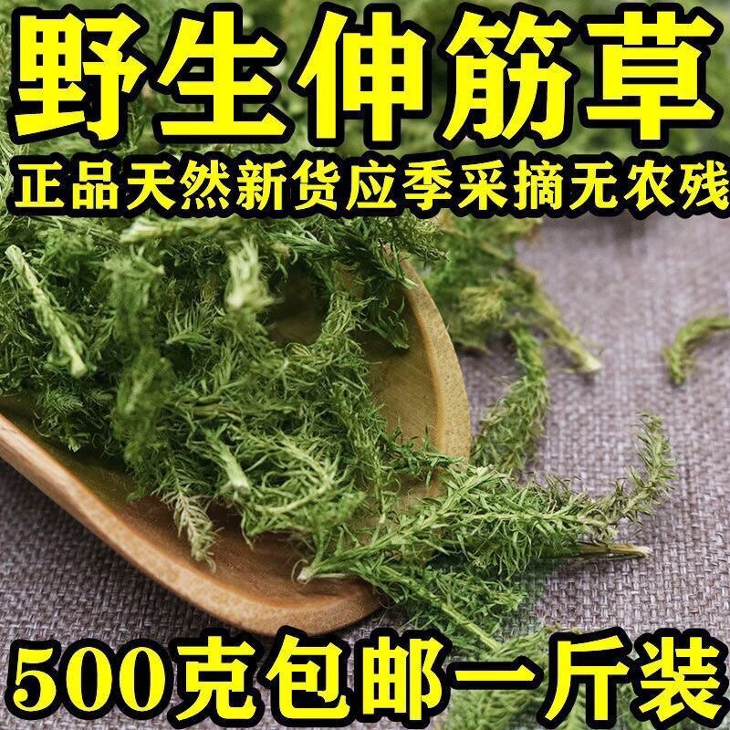 中药材伸筋草 筋骨草 正品新货透骨草舒筋草石松狮子500g多规格