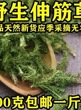 中药材伸筋草 筋骨草 正品新货透骨草舒筋草石松狮子500g多规格