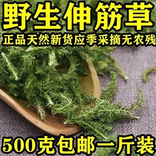 新货透骨草舒筋草石松狮子500g多规格 正品 筋骨草 中药材伸筋草