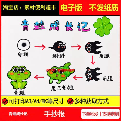 青蛙成长记手抄报电子模板小蝌蚪变化生物观察线稿手绘小报
