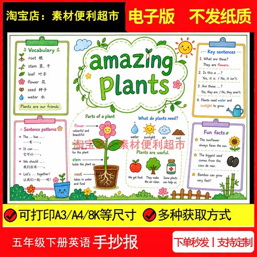 amazing plants神奇植物手抄报电子新北京版五年级下册英语知识点