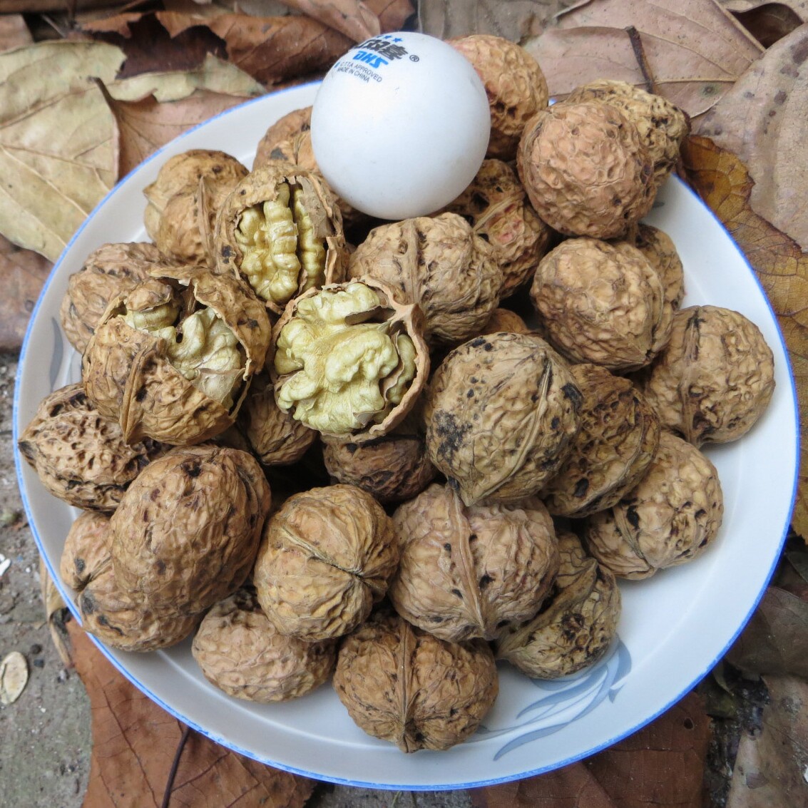 云南核桃2025新货干孕妇专用新鲜薄皮纸皮黑桃原味老树打豆浆专用