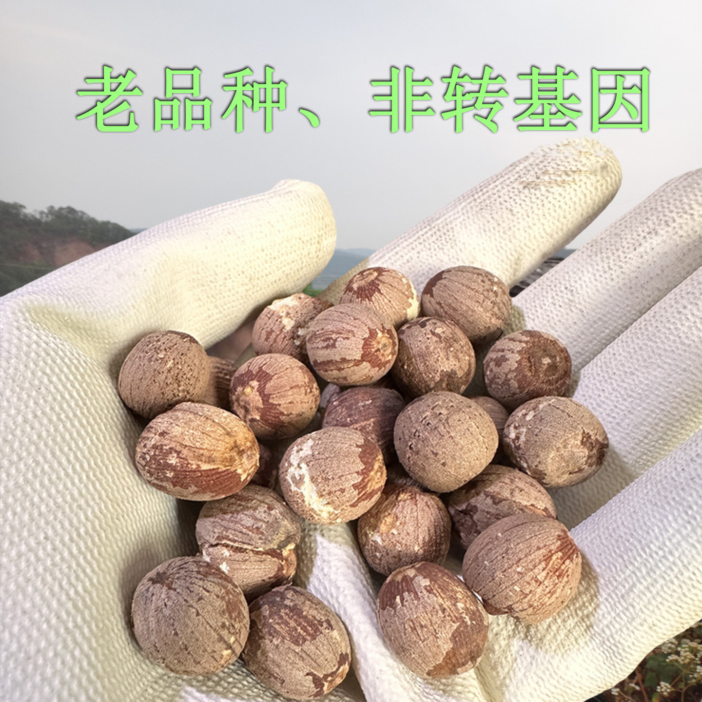 红莲子带心大颗粒莲子有芯干货农家云南特产粉糯红皮莲子500g