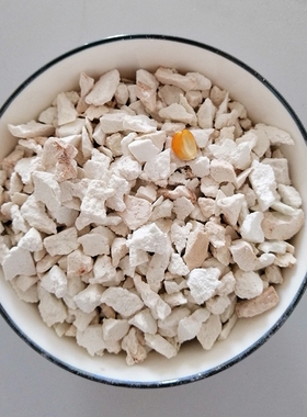 云南白茯苓2x500克茯苓中草药材野外伏苓块茯苓粉食用获小粒颗状