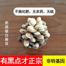 老品种白扁豆农家自种药用子1kg祛湿药用新鲜中药材有机干货自产图片