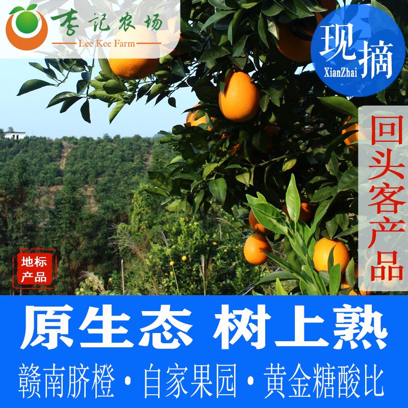 家庭款【李记农场】赣南脐橙