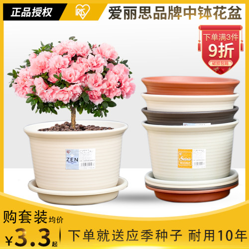 爱丽思中钵大花盆绿萝多肉绿植塑料塑料加厚花盆栽室内蝴蝶兰盆栽 - 封面