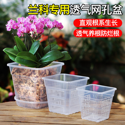 花博士兰花盆栽方盆加厚透气花盆