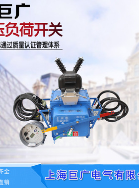 户外智能柱上分界真空断路器 FZW28-12/630A-20 VSTS 负荷开关