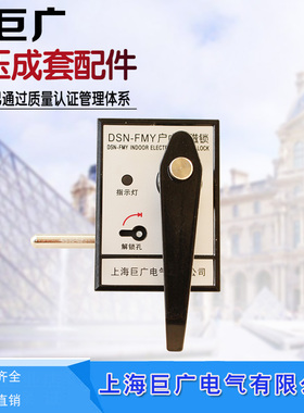 反相电磁锁DSN-FMY DSN3-FMY FMZ户内高压柜逆相电磁锁隔离电磁锁