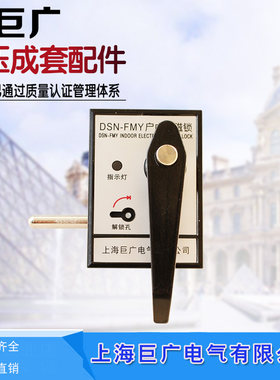 电磁锁 DSN-FBMY 220VDSN1-BM/Y BM/Z户内电磁锁高压配电箱柜门锁