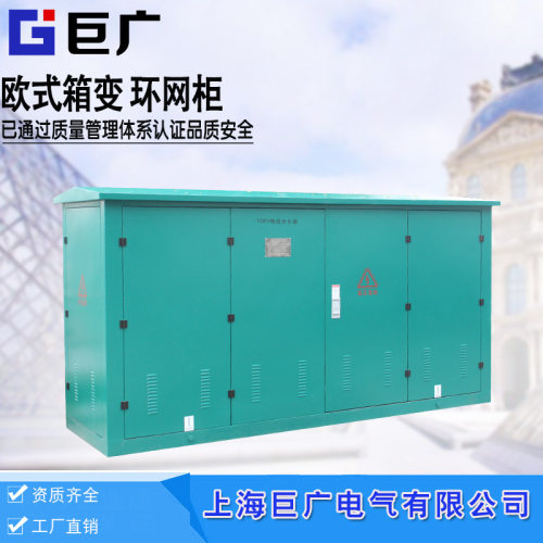 高压充气柜环网柜二进四出固体柜环网箱开闭所10KV计量中置柜