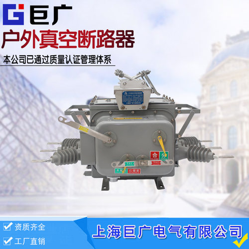 真空柱上开关zw20-12/630a-25ka yh5ws-17/50避雷器GW9隔离开关