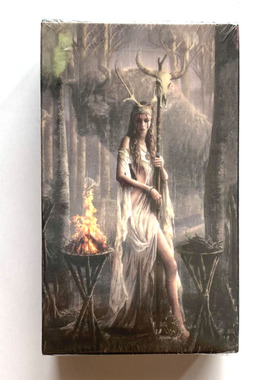 如尼符文英文塔罗 78张泛伟特卡罗牌 Runic Tarot 桌游卡牌游戏