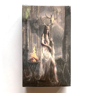 如尼符文英文塔罗 Runic Tarot 桌游卡牌游戏 78张泛伟特卡罗牌