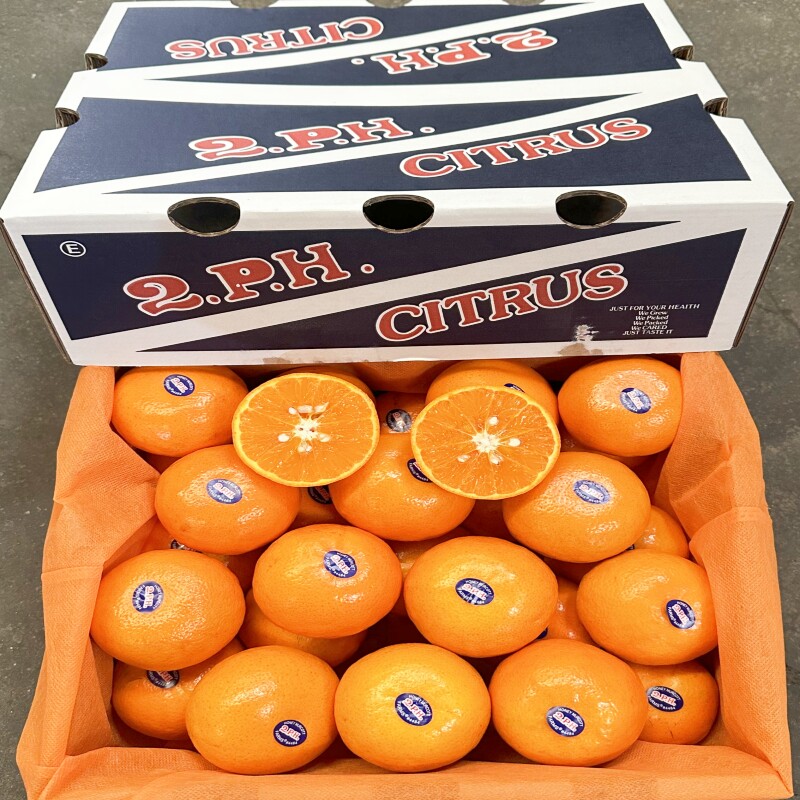 现货正宗poh沃柑礼盒装8斤整箱纯甜多汁当季新鲜水果云南特产包邮