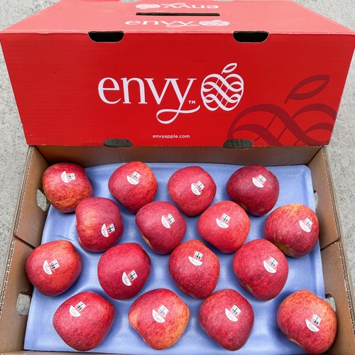 新西兰进口envy爱妃苹果16颗礼盒