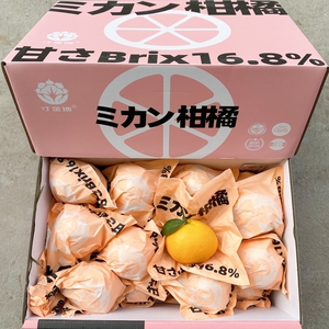 2024寸金地春见粑粑柑7斤礼盒装味美多汁四川桔子柑橘橘子好包邮