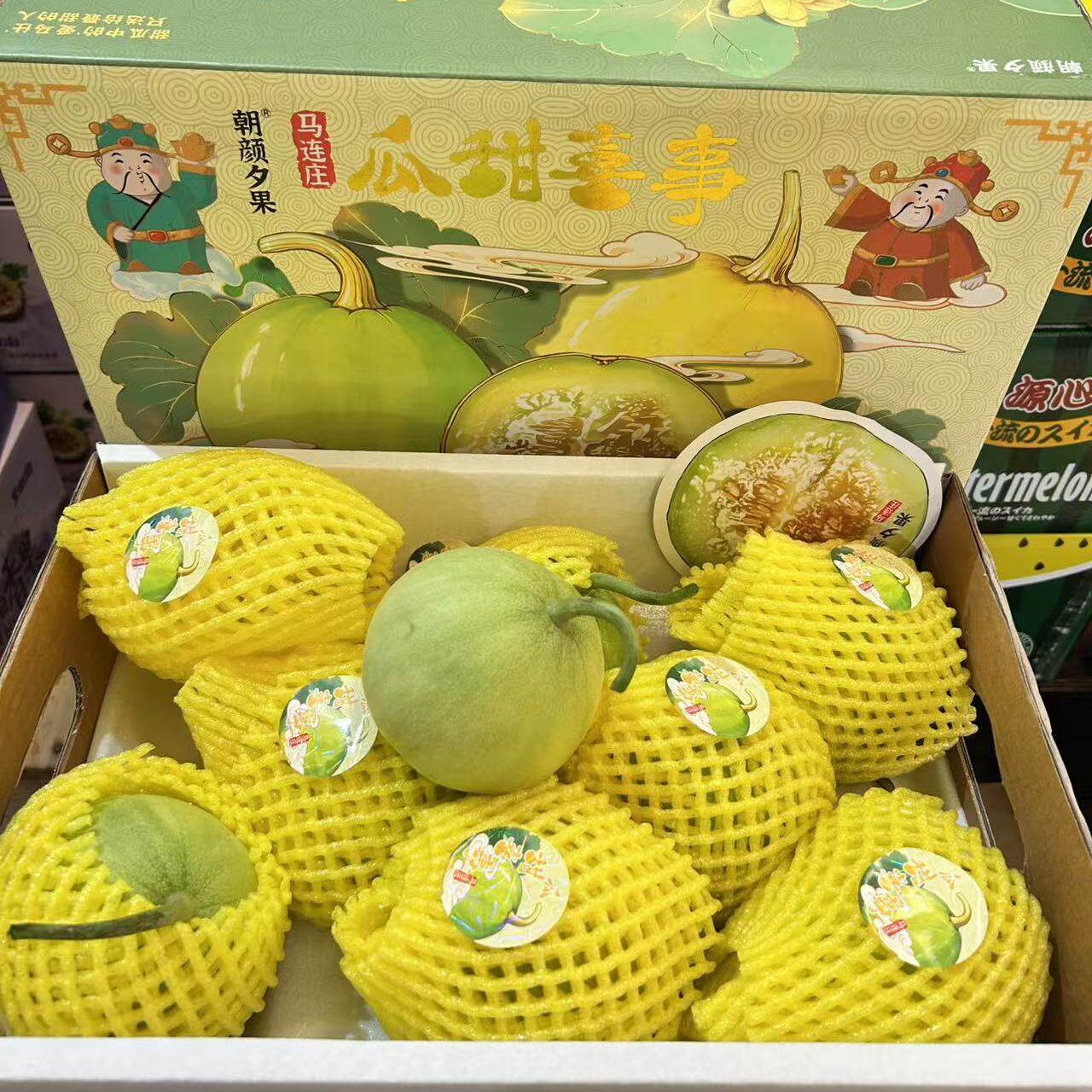 现货马连庄甜瓜小香瓜蜜瓜4-5斤礼盒装脆甜多汁新鲜水果大果包邮