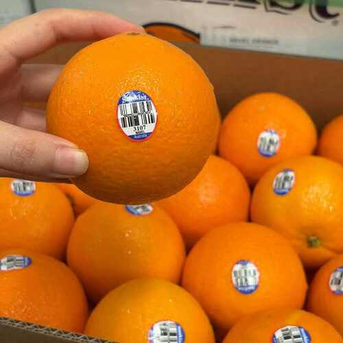 澳大利亚进口sunkist新奇士3107橙子脐橙新鲜水果多汁味美大包邮