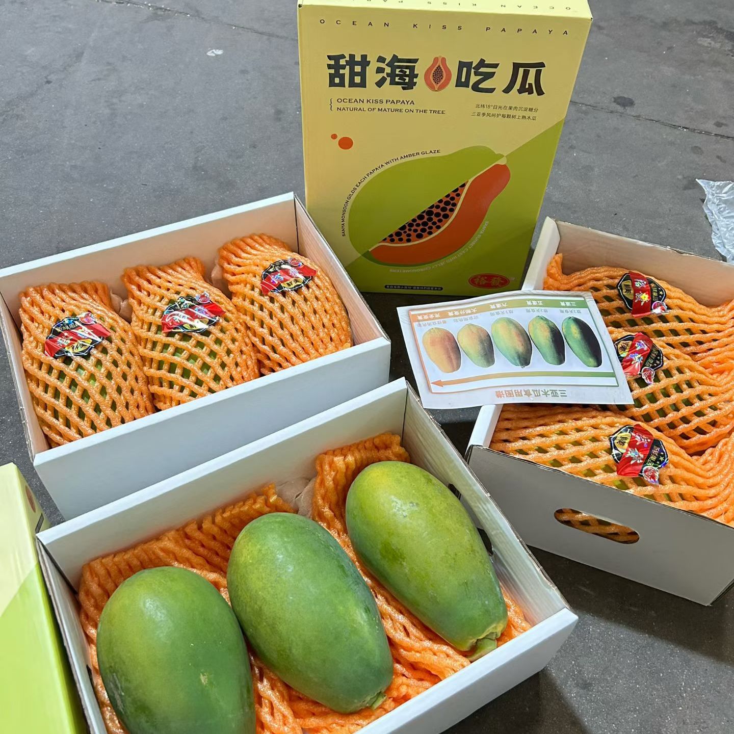 现货海南红心木瓜5斤礼盒装甜糯多汁新鲜水果当季时令好吃的包邮