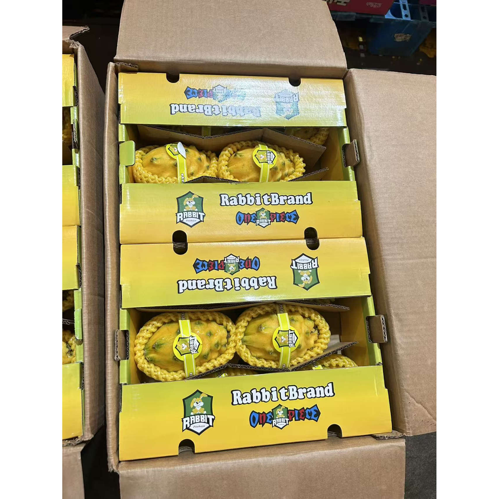 麒麟果燕窝果大果超甜多汁黄皮白