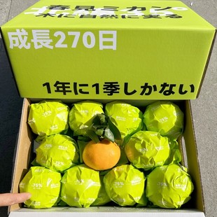 现货白富美春见粑粑柑7斤礼盒装新鲜水果四川特产当季大雅柑 包邮