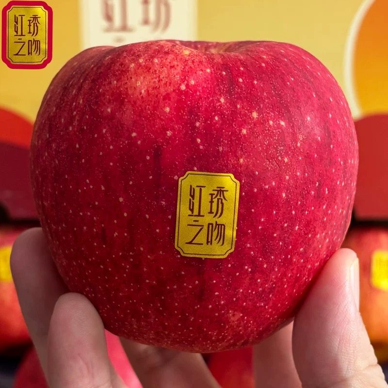 现货红袖苹果云南高原国产红袖之吻高甜度红苹果新鲜水果脆甜包邮,水产肉类/新鲜蔬果/熟食,苹果,淘宝优惠券,粉丝福利购,淘宝优惠卷