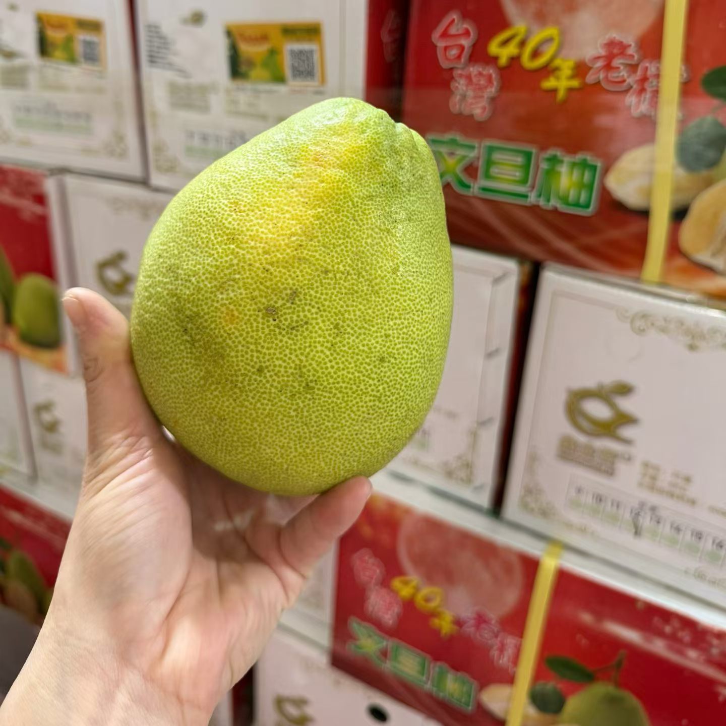 台湾老树文旦柚礼盒装净重12斤
